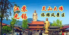 毛茸茸大骚屄江苏无锡灵山大佛旅游风景区